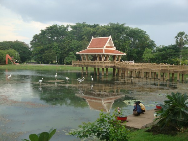 Pond at sai ngam, Phimai, Thailand